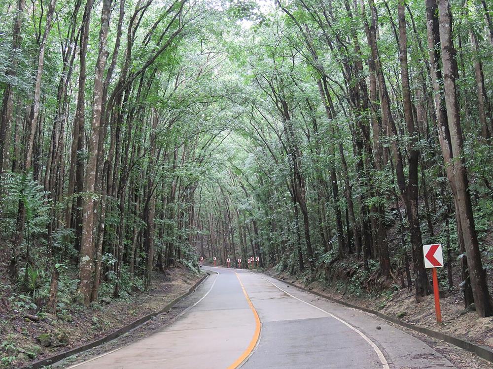Planning Your Visit to Bohol's Heritage Sites