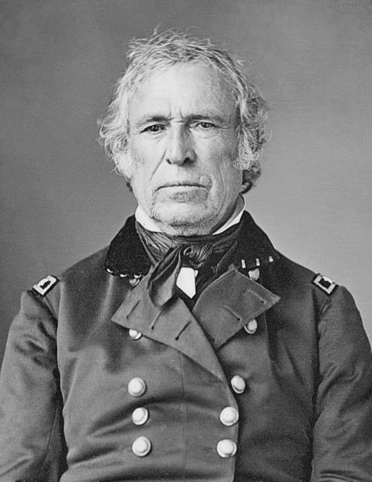 The Children of Zachary Taylor