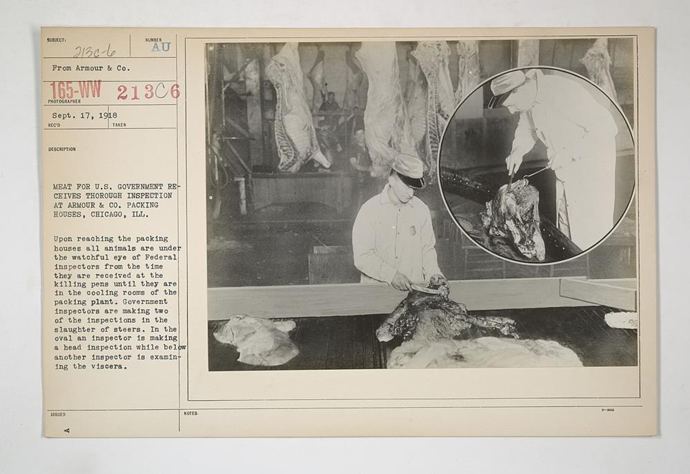 The Impact on Meatpacking Industry Practices