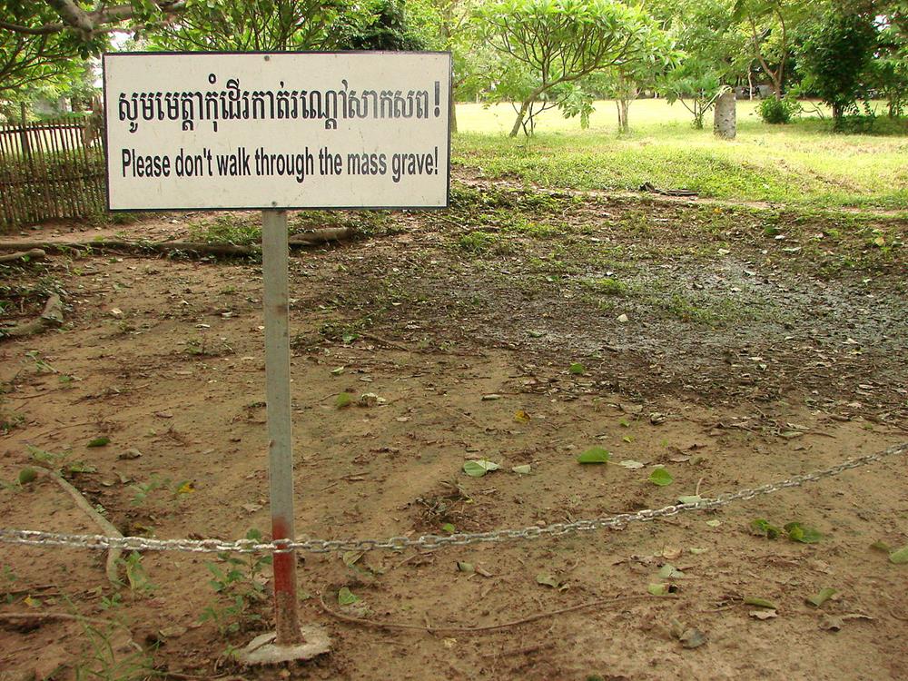 The Killing Fields: Targeting "Enemies of the Revolution"